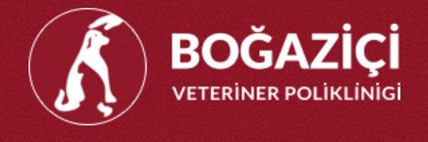 logo bogazici