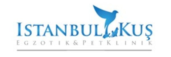 logo istanbul kus