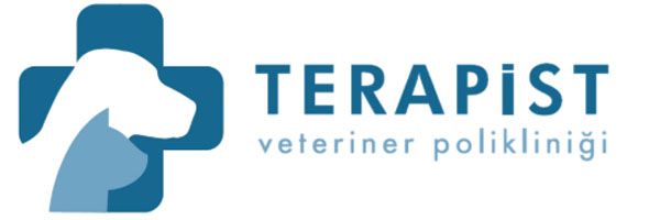 logo terapist