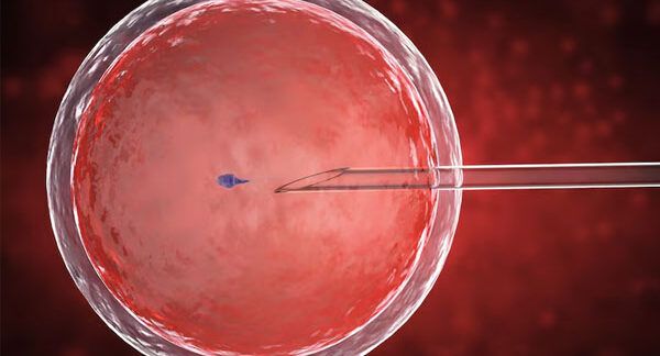 centri di procreazione assistita in Turchia