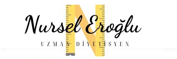 logo Nurzel eroglu