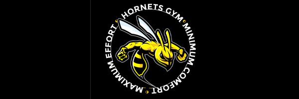 logo hornets