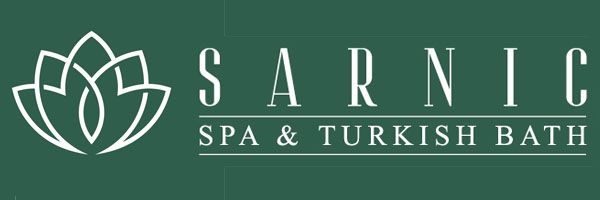 logo sarnic