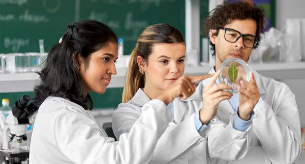 scuole superiori scientifiche in Turchia