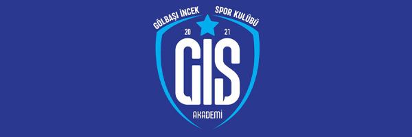logo GSI