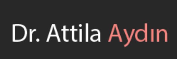 logo attlia aydin
