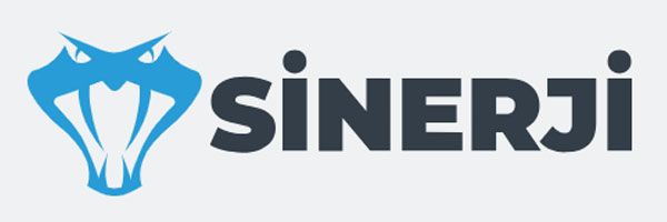 logo sinerji