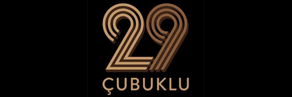 logo 29 cubuklu