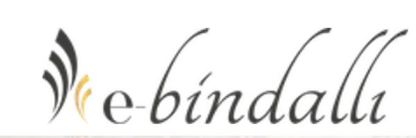 logo E-bindalli