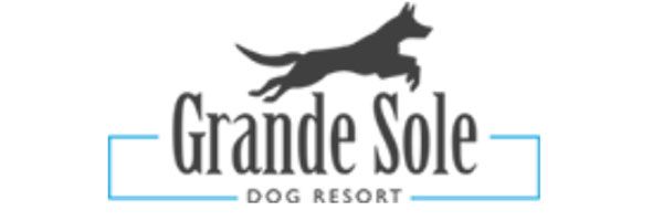 logo grande sole