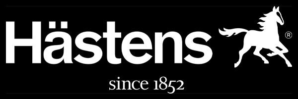 logo hastens