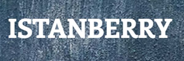 logo istanberry