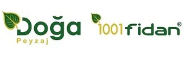 logo 1001fidan
