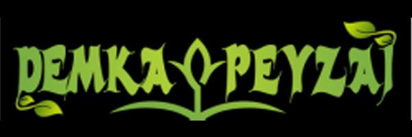 logo Demka peyzaj
