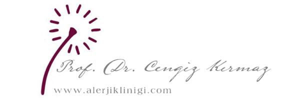 logo dr cengiz kirmaz