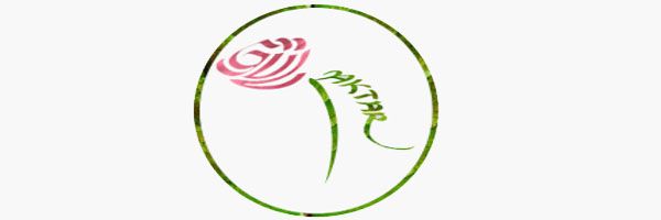 logo gul aktar