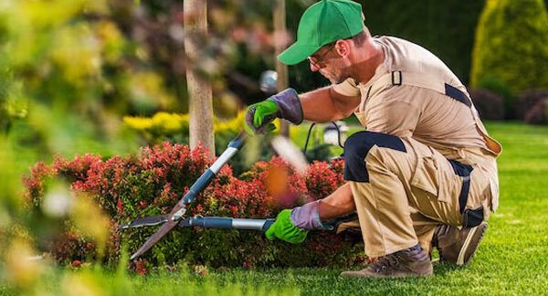 servizi di giardinaggio e manutenzione esterna in Turchia