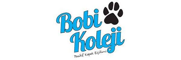 logo bobi koleji