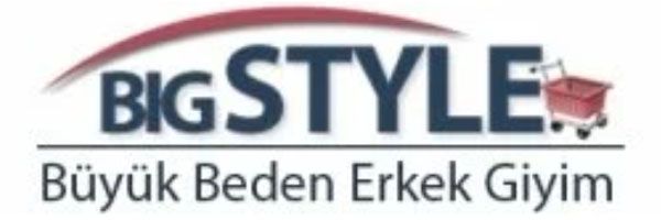 logo big style
