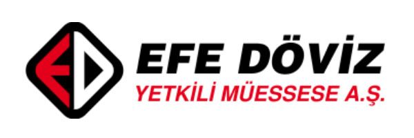 logo efe doviz