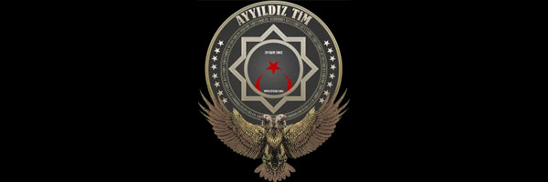 logo ayyildiz Tim