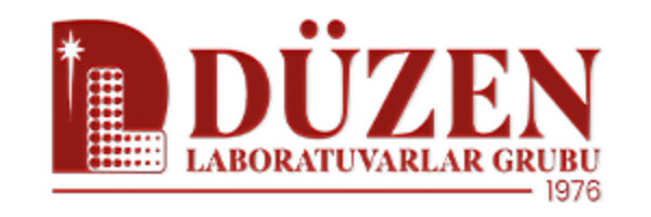 logo düzen