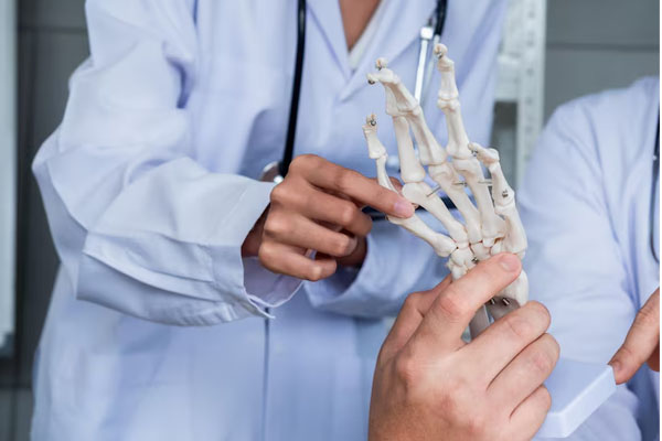 primo piano della mano di un medico che punta a un modello di scheletro della mano