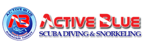 logo active blue