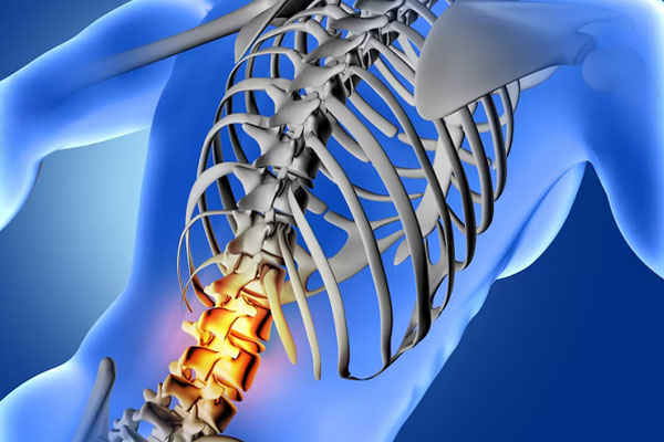 Modellazione 3D di un corpo con il profilo della colonna vertebrale