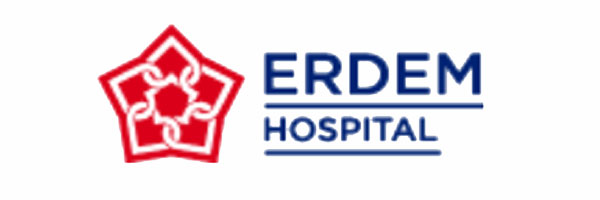 logo erdem