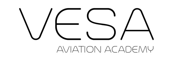 logo vesa