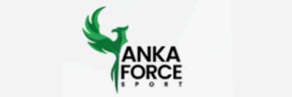 logo ankaforce