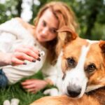 Le 10 migliori app per la cura degli animali domestici a Turchia