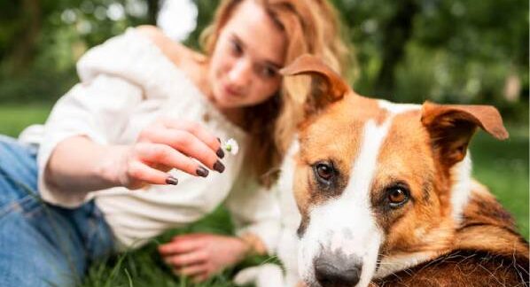 Le 10 migliori app per la cura degli animali domestici a Turchia