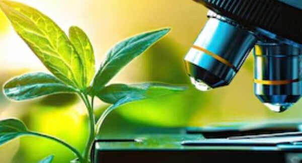 Le 10 migliori aziende biotecnologiche a Turchia