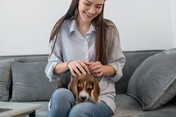 Una persona gioca con il proprio animale domestico a casa