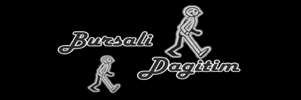 logo Bursalı Dağıtım