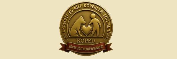 logo Gülru Batur