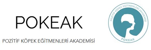 logo pokeak