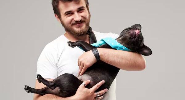 Le 10 migliori cliniche per la sterilizzazione degli animali a turchia