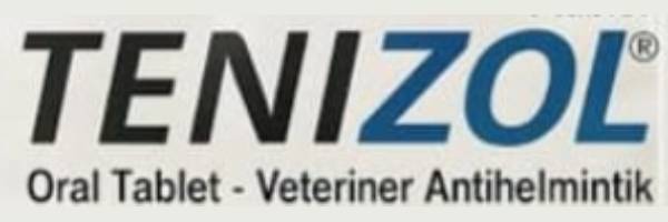 logo enizol