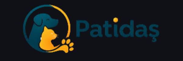 logo patidas